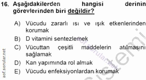 Soru 16