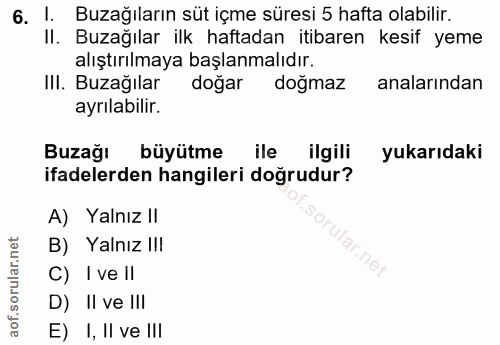 Soru 6