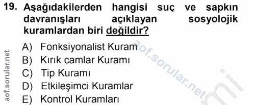 Soru 19