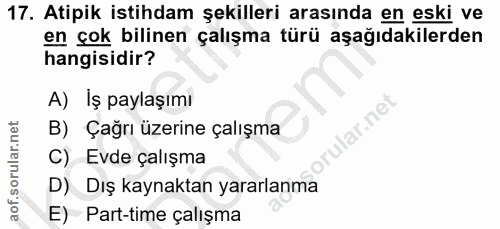 Soru 17