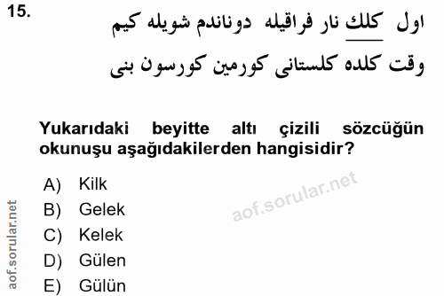 Soru 15