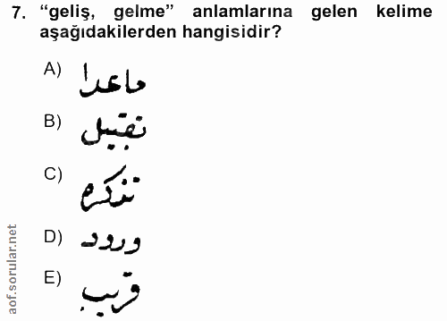 Soru 7