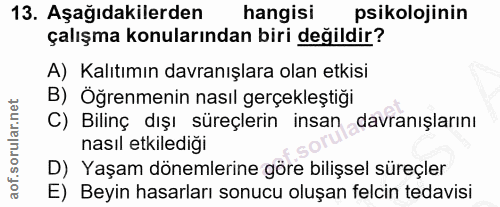 Soru 13