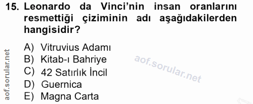Soru 15
