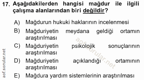 Soru 17