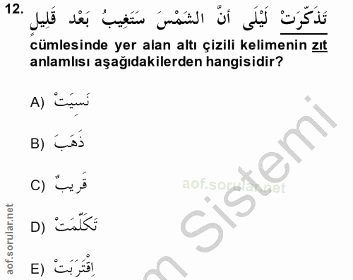 Soru 12