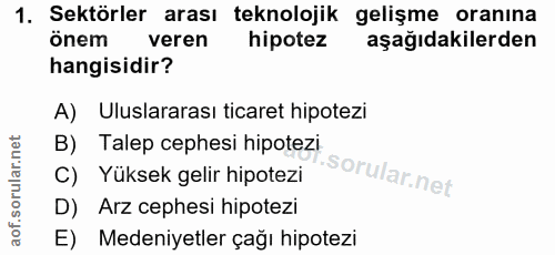 Soru 1