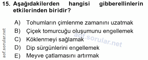 Soru 15