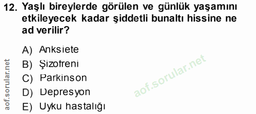 Soru 12