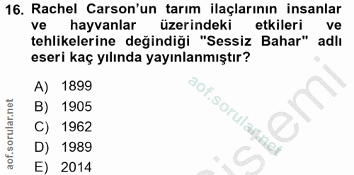 Soru 16