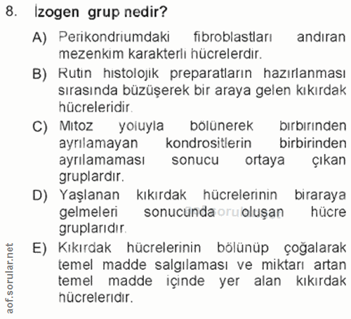 Soru 8