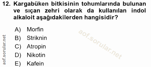 Soru 12