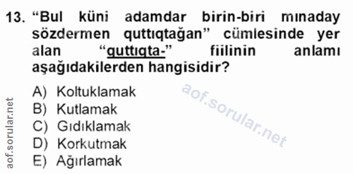 Soru 13