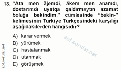 Soru 13