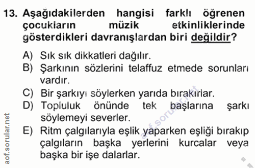 Soru 13