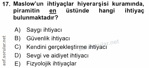 Soru 17