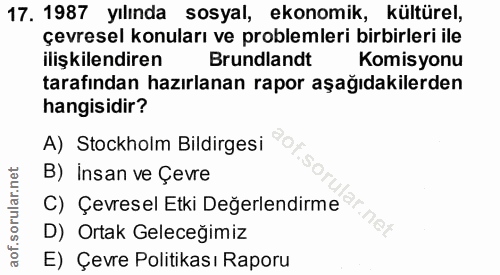 Soru 17