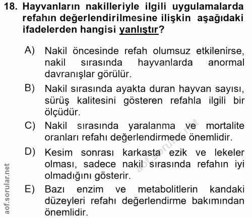 Soru 18