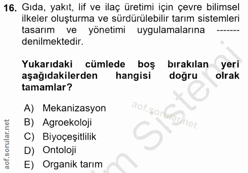 Soru 16