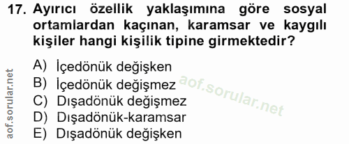 Soru 17