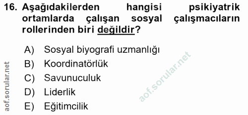 Soru 16