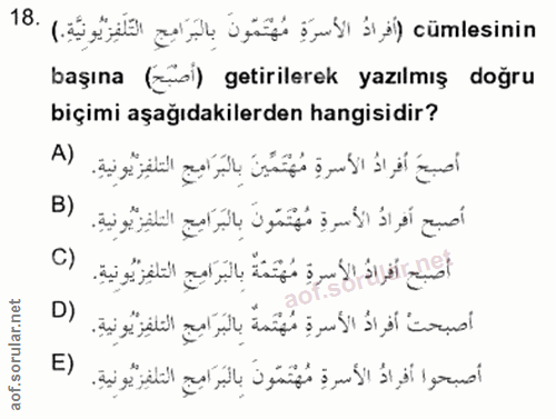 Soru 18