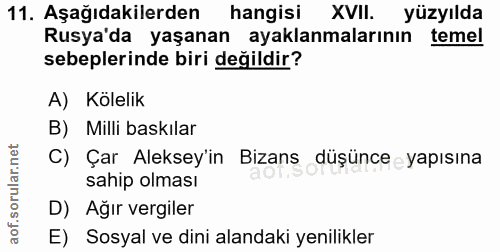Soru 11