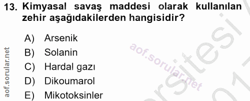 Soru 13