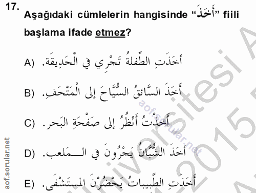 Soru 17