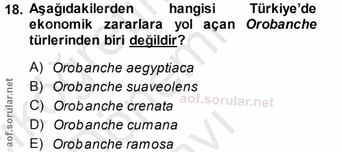 Soru 18