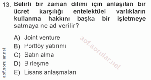 Soru 13