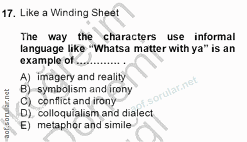Soru 17