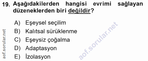 Soru 19