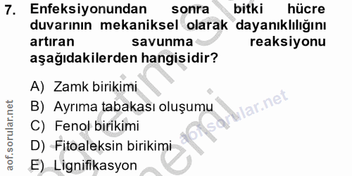 Soru 7