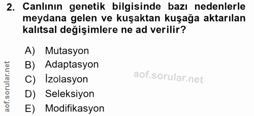 Soru 2