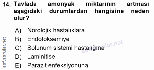 Soru 14