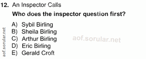 Soru 12