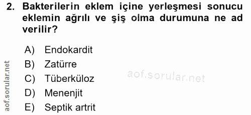 Soru 2