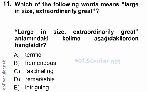 Soru 11