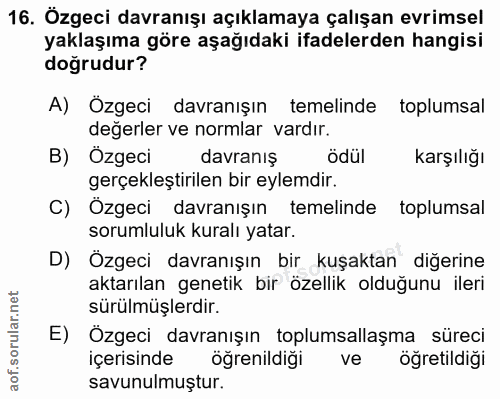 Soru 16