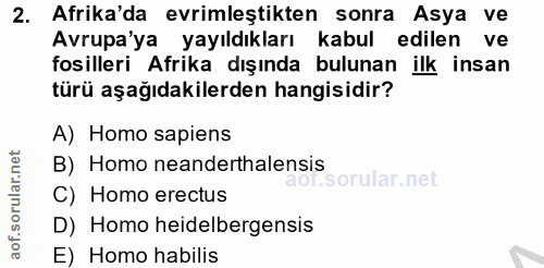 Soru 2