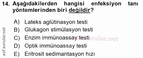 Soru 14