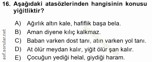Soru 16