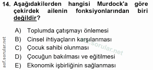 Soru 14