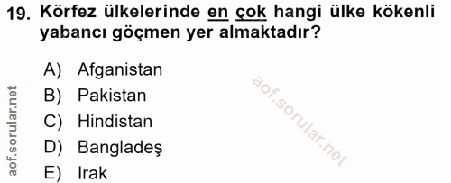 Soru 19