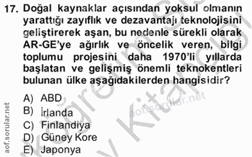 Soru 17