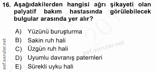 Soru 16