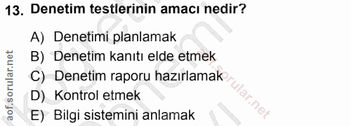 Soru 13