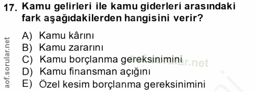 Soru 17
