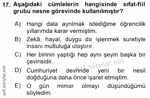 Soru 17